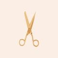 Scissors hairdresser sign icon. Tailor symbol