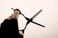 Scissors in the hand of the hairdresser silhouette on a light background