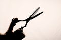 Scissors in the hand of the hairdresser silhouette on a light background