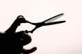 Scissors in the hand of the hairdresser silhouette on a light background