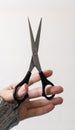 Scissors in the hands of a hairdresser on a white background. Royalty Free Stock Photo