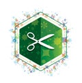 Scissors icon floral plants pattern green hexagon button Royalty Free Stock Photo