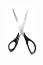 Scissors isolated