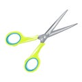 Scissors isolated