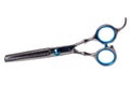 Scissors isolated. Close-up of a new professional thinning scissors for haircuts isolated on a white background. Barbers or Royalty Free Stock Photo