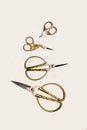 Scissors with large golden handles on a white background with copy space Royalty Free Stock Photo