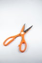 Scissors in orange on a white background. Scissors with serrations on the handle