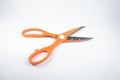 Scissors in orange on a white background. Scissors with serrations on the handle