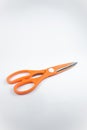 Scissors in orange on a white background. Scissors with serrations on the handle