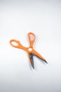 Scissors in orange on a white background. Scissors with serrations on the handle