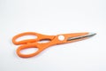 Scissors in orange on a white background. Scissors with serrations on the handle