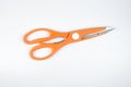 Scissors in orange on a white background. Scissors with serrations on the handle