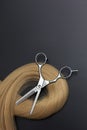 Scissors and piece of blond hair. Professional barber hair cutting shears on black background. Hairdresser salon equipment concept Royalty Free Stock Photo