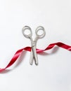 Scissors & Ribbon