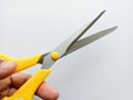 Scissors stainless steel yellow and white handle on hand. Royalty Free Stock Photo