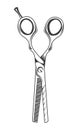 Scissors symbol isolated. Opened hair cutting scissorsfor hair filibustering. Barber logo icon Royalty Free Stock Photo