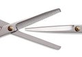 Scissors, Thinning shear