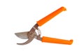 Scissors for working in the garden , scissors