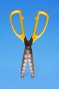 Scissors with yellow handles and teeth on a blue background.