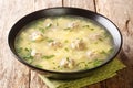 Sciusceddu is a festive Italian soup with the lightest, most tender meatballs in a comforting creamy egg soup closeup in the plate