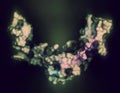 Sclerostin (murine) protein. Causes decreased bone formation by inhibiting the Wnt signaling pathway. Target of romosozumab, a