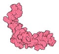 Sclerostin (murine) protein. Causes decreased bone formation by inhibiting the Wnt signaling pathway. Target of romosozumab, a