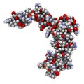 Sclerostin (murine) protein. Causes decreased bone formation by inhibiting the Wnt signaling pathway. Target of romosozumab, a Royalty Free Stock Photo