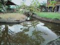 The scnery in the park of museum and the small bridges from wooden with the tree in around Royalty Free Stock Photo