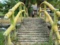 The scnery in the park of museum and the small bridges from wooden with the tree in around Royalty Free Stock Photo