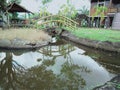 The scnery in the park of museum and the small bridges from wooden with the tree in around Royalty Free Stock Photo