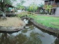 The scnery in the park of museum and the small bridges from wooden with the tree in around Royalty Free Stock Photo