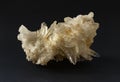 Scolecite mineral sample. White yellowish cluster of crystals
