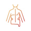 Scoliosis brace gradient linear vector icon