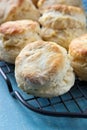 Scones Royalty Free Stock Photo