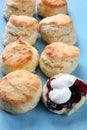 Scones Royalty Free Stock Photo