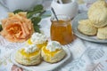 Scones with apricot jam and whipped cream on a table with jar of jam