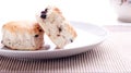 Scones on a plate Royalty Free Stock Photo