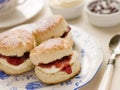 Scones Tea Clotted Cream and Jam Royalty Free Stock Photo