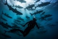 a scooba diver diving underwater with sharks in the ocean Royalty Free Stock Photo