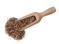 Scoop of black, red and white aka rainbow quinoa isolated on white. Overhead view.