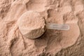 Scoop of chocolate whey isolate protein Royalty Free Stock Photo