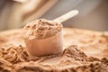 A scoop of chocolate whey isolate protein Royalty Free Stock Photo