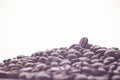 Scoop of coffee beans Royalty Free Stock Photo