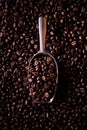 Scoop of coffee beans Royalty Free Stock Photo