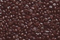 Scoop of coffee beans Royalty Free Stock Photo