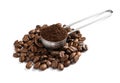 Scoop with coffee grounds and roasted beans Royalty Free Stock Photo