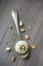 Scoop of homemade pistachio ice cream with chopped pistachios and chocolate Royalty Free Stock Photo