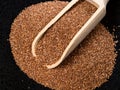 Scoop on pile of wholegrain teff seeds on black Royalty Free Stock Photo