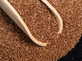 Scoop on pile of wholegrain teff seeds closeup Royalty Free Stock Photo