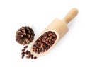 Scoop with pine nuts and cone on white background Royalty Free Stock Photo